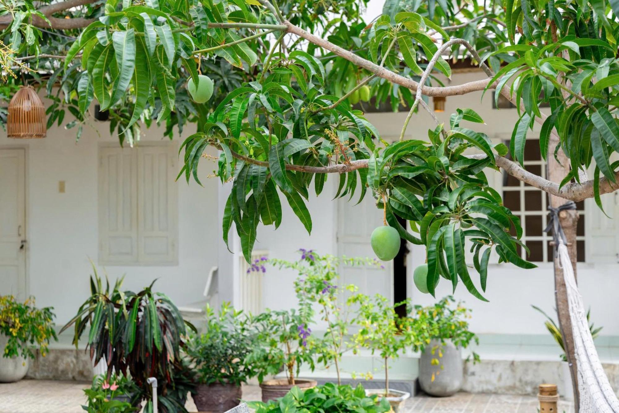 Binhyen Homestay Муйне Екстер'єр фото
